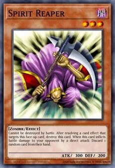 23205979