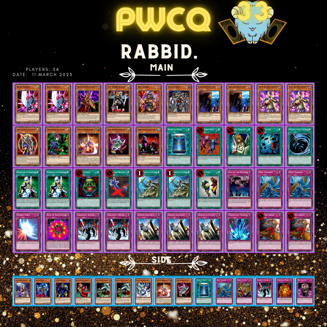 33 8 rabbid orig