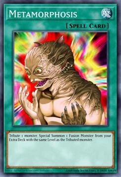 46411259