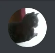 labounty pfp orig