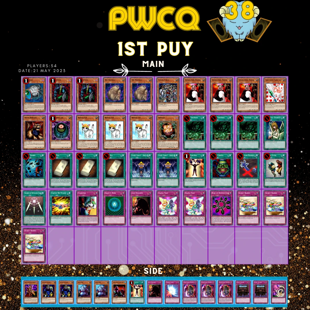 pwcq381puy orig
