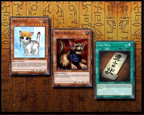 rescue cat deck page header orig