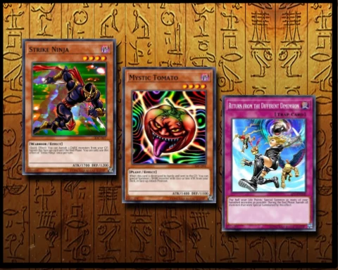 strike ninja deck page header orig