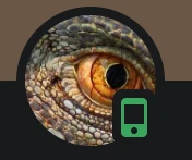wen ordo pfp orig