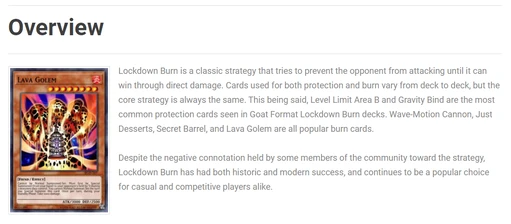 burn overview ss
